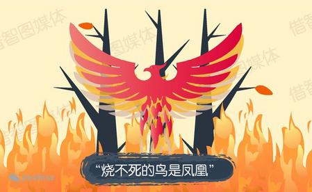 “烧不死的鸟是凤凰”