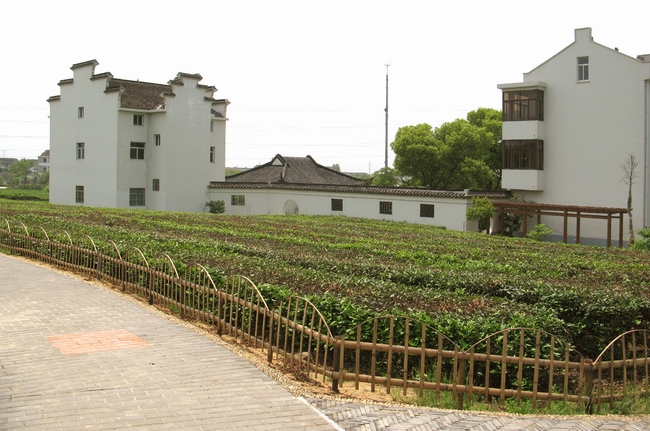 2014.9.25_13.51.54_1724.jpg